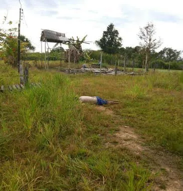 Corpo foi achado à margem da estrada do município