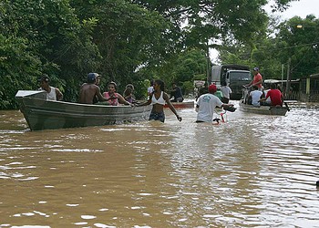Vivo está divulgando a conta bancária que recebe doações