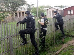 Operação leva 7 à cadeia e apreende armas, joias, dinheiro e jabuti