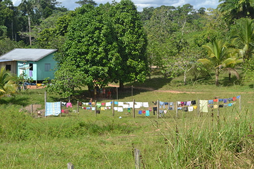 BR-364: acreana por excelência 3 Ocupantes da margem da estrada acenam dando boas vindas