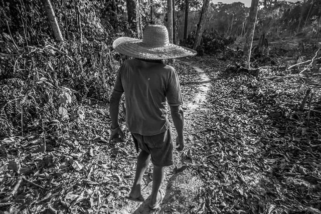 Exposição vem para reforçar os ideais do líder seringueiro