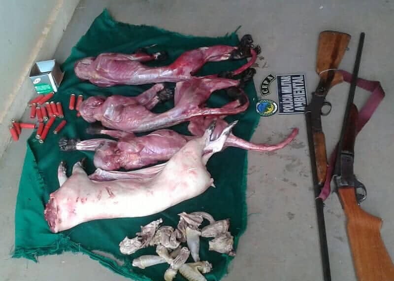 Pelotão Ambiental apreende animais abatidos e armas com caçadores, na BR-317 1 Animais e armas foram apreendidos durante uma patrulha