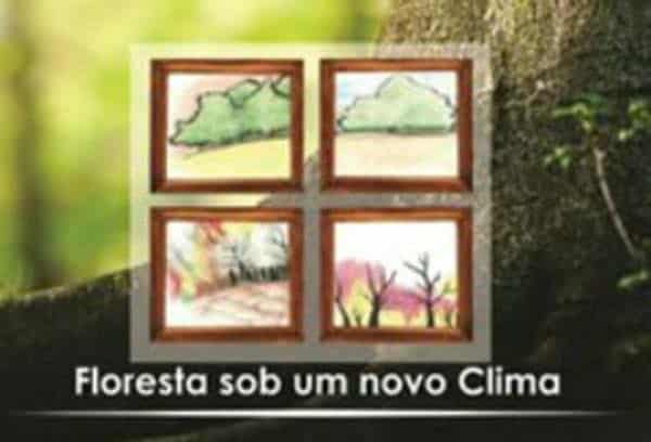 USINA DE ARTE 2 SEMANA DA FLORESTA