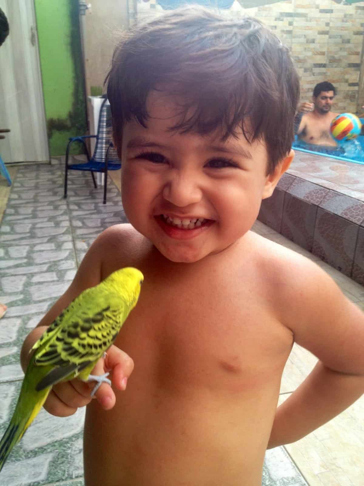 Dinheiro no bolso 2 theodoro foto 7