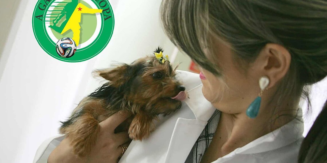 Animais têm audição sensível, que deve ser respeitada