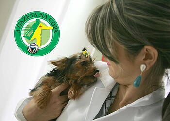 Animais têm audição sensível, que deve ser respeitada