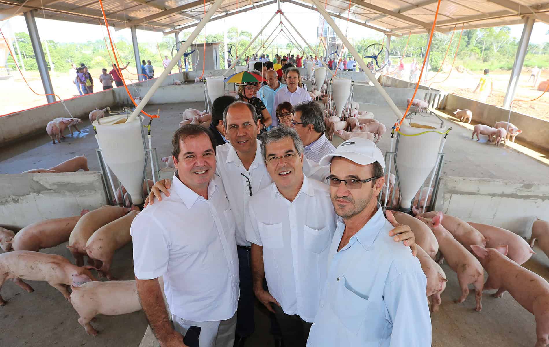 Galpões têm capacidade de produção de até 100 t. de carne