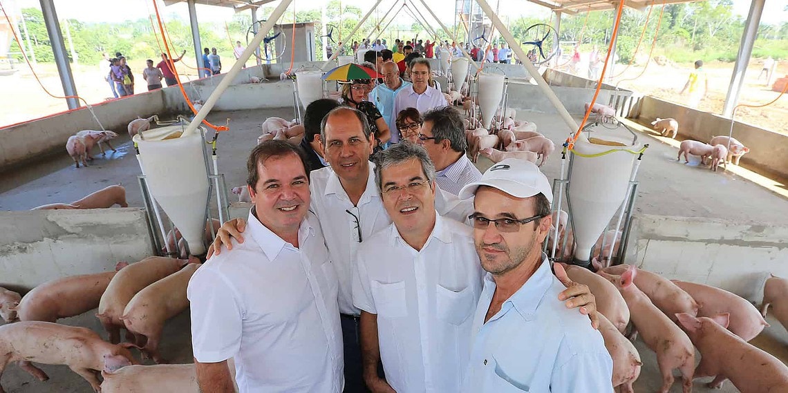 Governo entrega 20 galpões de engorda de suínos, no interior 1 Galpões têm capacidade de produção de até 100 t. de carne