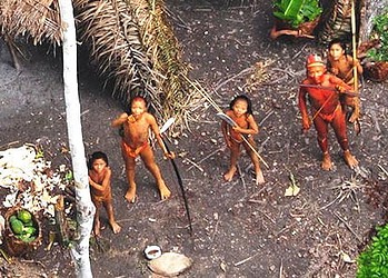 Survival quer intervenção dos governos do Brasil e Peru