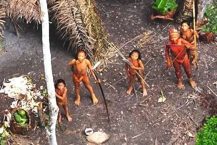 Survival quer intervenção dos governos do Brasil e Peru