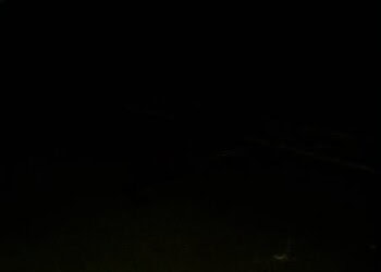 Casal embriagado sofre acidente e mulher morre na hora