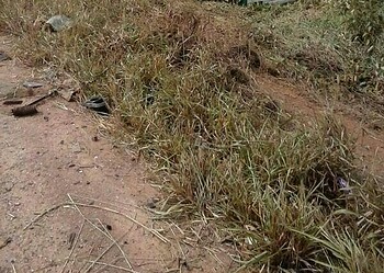 Duas pessoas morrem e outras ficam feridas em acidente na BR 364