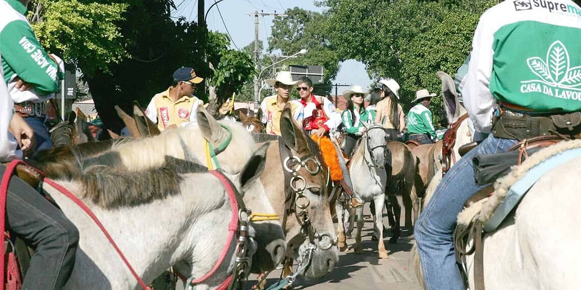 Animais devem ter acesso fácil à comida e água no evento