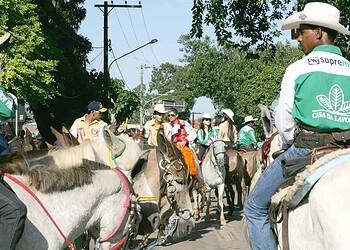 Animais devem ter acesso fácil à comida e água no evento