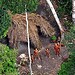 Primeira foto da tribo revela índios isolados para o mundo