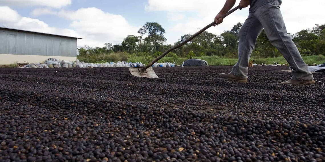 Produtores rurais serão beneficiados em novo Projeto de Lei 1 Foto: Gleilson Miranda/Secom