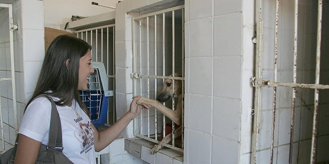 Luciana Souza, presidente da SAQP: "adotar é algo sério"