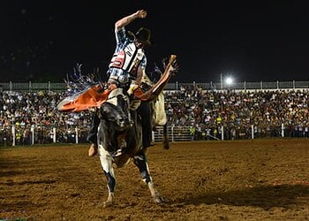 Peão dá show de montaria em rodeio espetacular