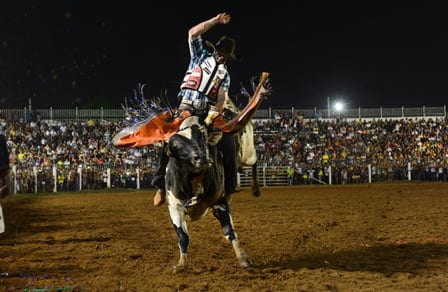 Acreanos vencem o Circuito Rodeio de Barretos da Expoacre 2014 1 Peão dá show de montaria em rodeio espetacular