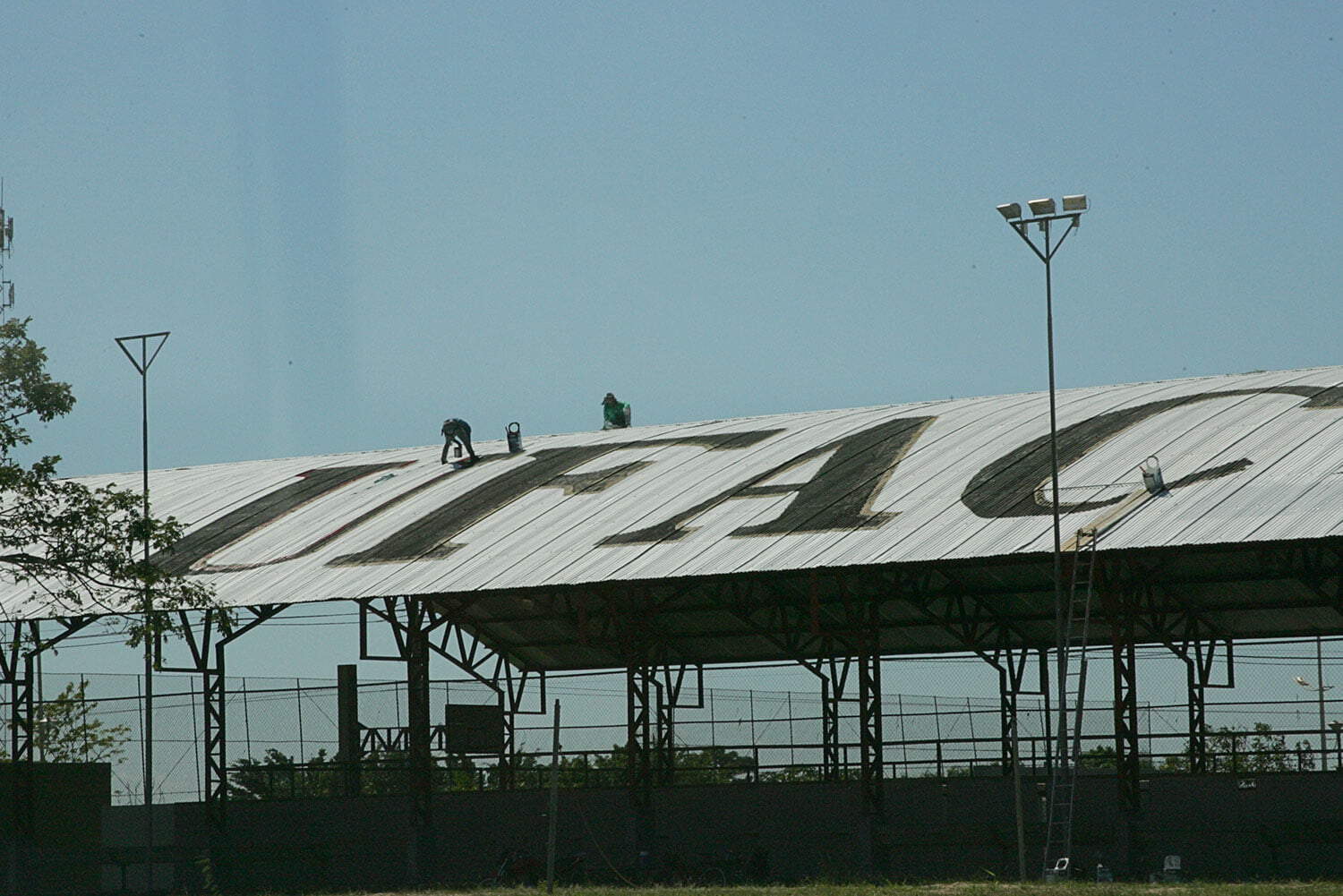 Pesquisador obtém no DNA de árvores maior lucratividade para manejos florestais 5 Campus da Ufac está sendo preparado para receber participantes de todo país