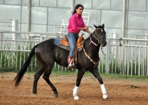 Prova dos Três Tambores da Etapa Expoacre 2014 será realizada dia 19