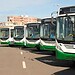 Aplicativo com horários de ônibus urbanos de Rio Branco ganha novo nome