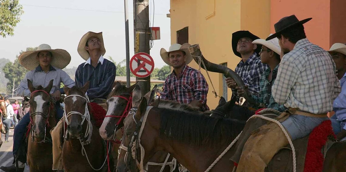 Órgão emitiu recomendações sobre veículos e animais