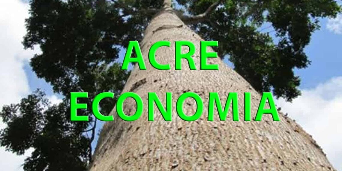 Pesquisador obtém no DNA de árvores maior lucratividade para manejos florestais 1 Pesquisador obtém no DNA de árvores maior lucratividade para manejos florestais