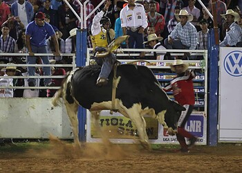 Expoacre 2014 inicia sua programação em Rio Branco