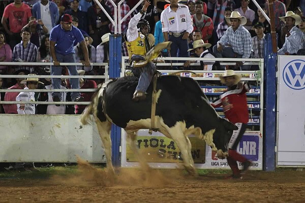 Expoacre 2014 inicia sua programação em Rio Branco