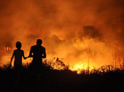Incêndio teria destruído uma grande área de vegetação