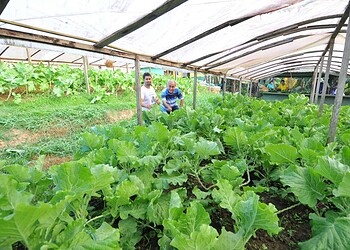 Bocalom: “hortas orgânicas serão mais uma alternativa para gerar empregos no Acre”