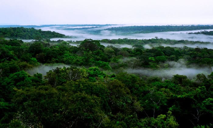 Governadores nacionais e internacionais virão ao Acre discutir mudanças climáticas