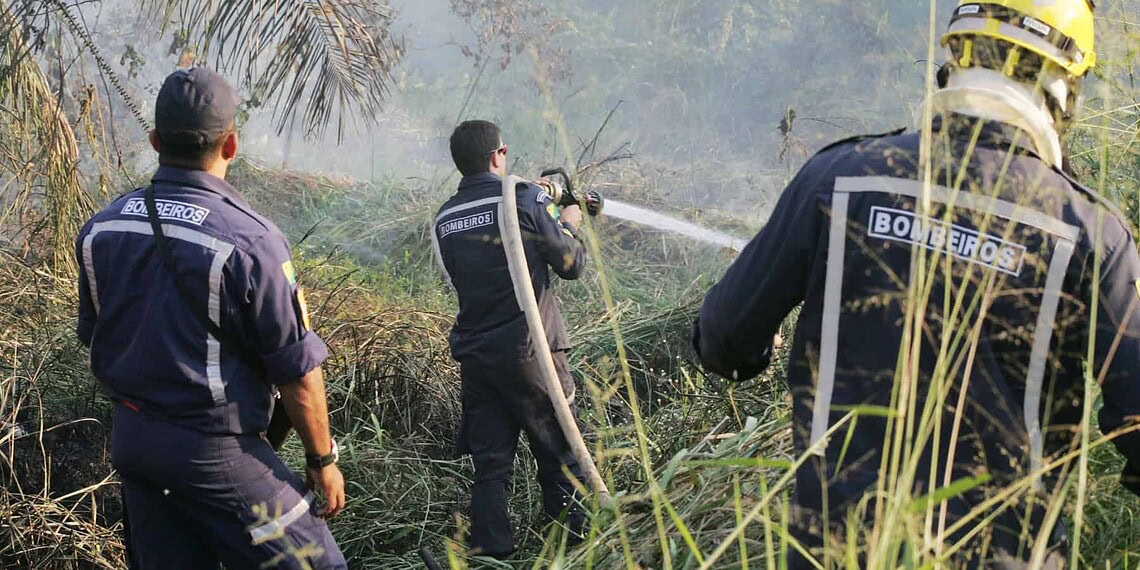 Mais de 40 entidades se uniram para combater queimadas