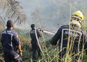 Mais de 40 entidades se uniram para combater queimadas