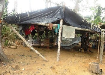 Vítimas trabalhavam na Fazenda Porto Alegre