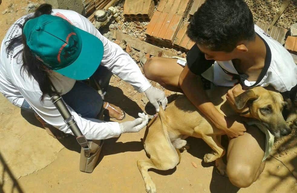 Agente em trabalho de vacinação na periferia da Capital