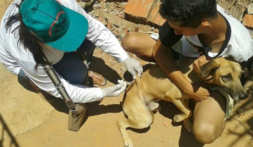 Agente em trabalho de vacinação na periferia da Capital