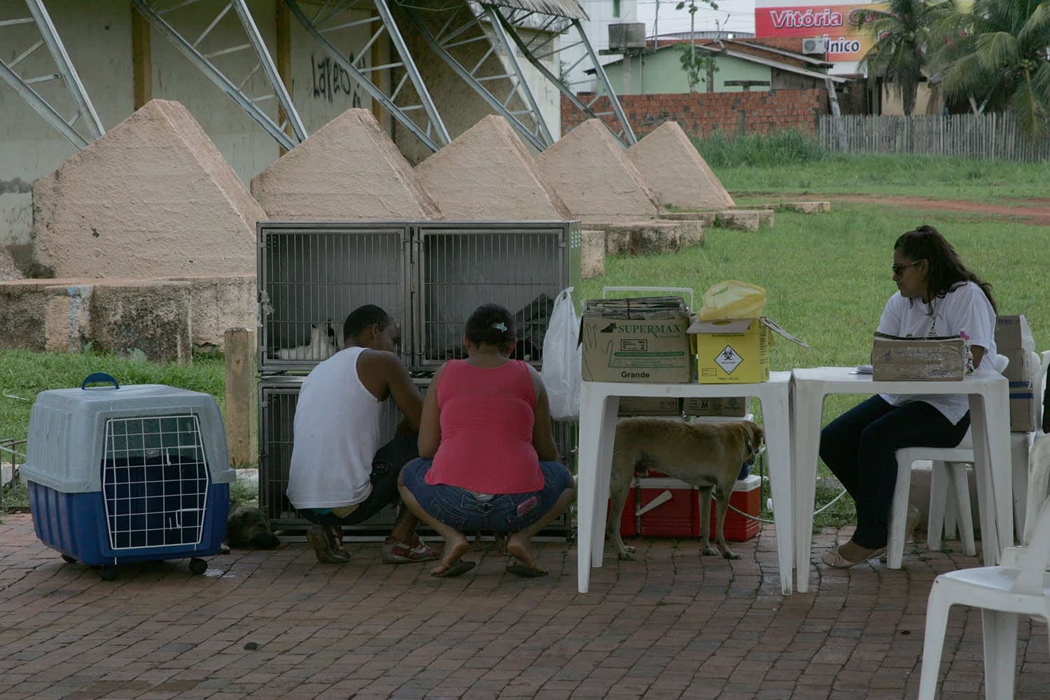 Centro de Zoonoses quer vacinar 54 mil animais conta raiva em Rio Branco 2 Campanha Raiva -OL 008 (4)