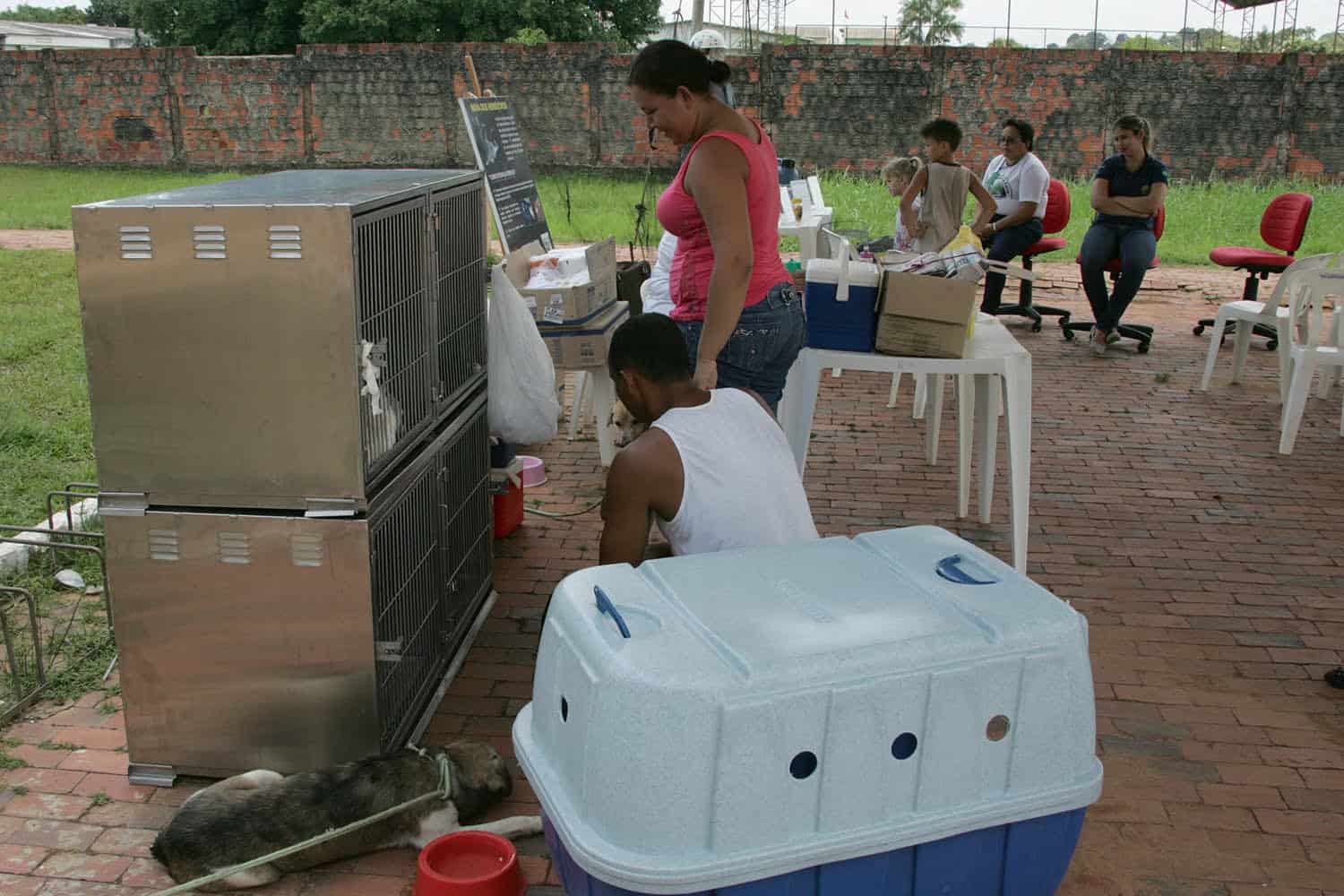 Centro de Zoonoses quer vacinar 54 mil animais conta raiva em Rio Branco 3 Campanha Raiva -OL 008