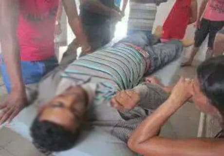 Animal causa acidente de trânsito e deixa vítima fatal na BR 364 1