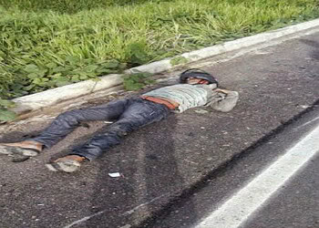 Animal causa acidente de trânsito e deixa vítima fatal na BR-364