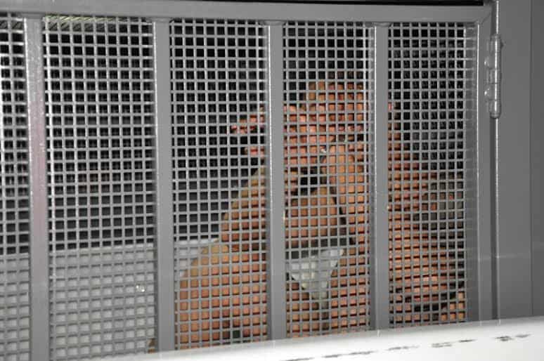 Cerca de 50 Kg de maconha é apreendida pela Polícia 4