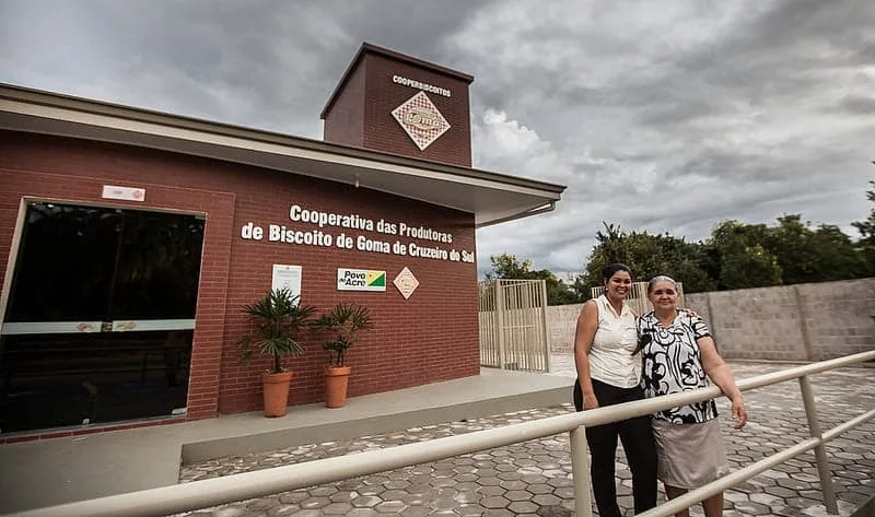 Cooperativadas comemoram crescimento de mercado