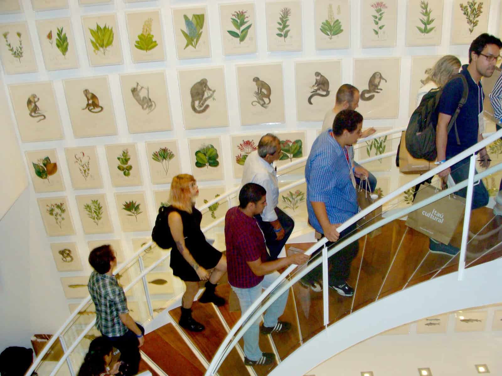 Escada em caracol, no fundo gravuras da fauna e flora brasi-leira postas em vidros anti-reflexos, da série cromolitografias