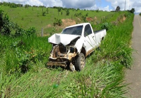 Animais causam acidente em ramal