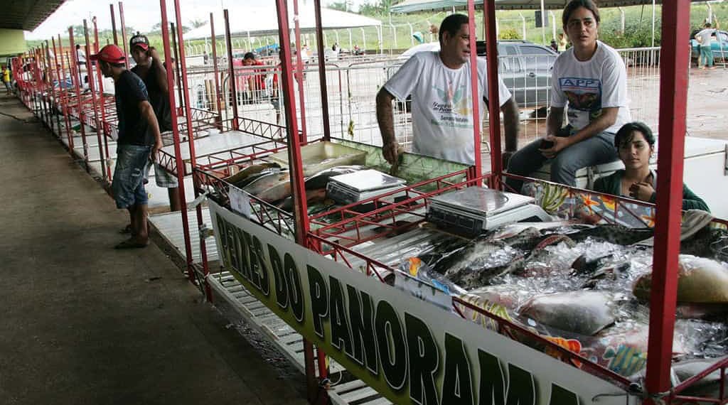 Feira vai até o dia 23, com muitas opções de pescados