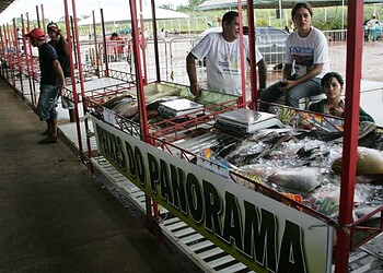 Feira vai até o dia 23, com muitas opções de pescados