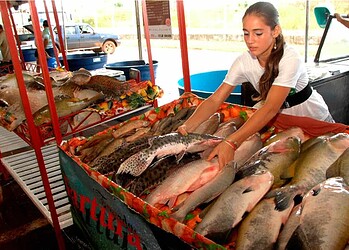 Feira do Peixe Natalina começa nesta sexta-feira na Ceasa