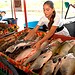 Feira do Peixe Natalina começa nesta sexta-feira na Ceasa
